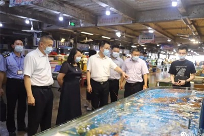 廣東省副省長率隊視察深圳新洲智慧肉菜市場，中字溯源系統被實名點贊